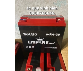 Bình ắc quy xe điện Yamato 6-FM-30