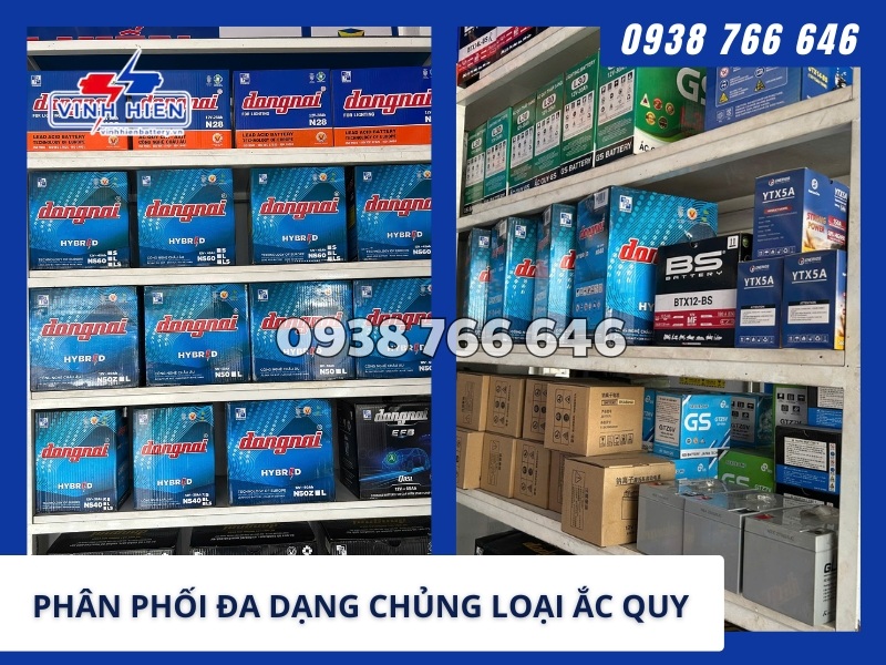 phân phối Đa dạng chủng loại ắc quy