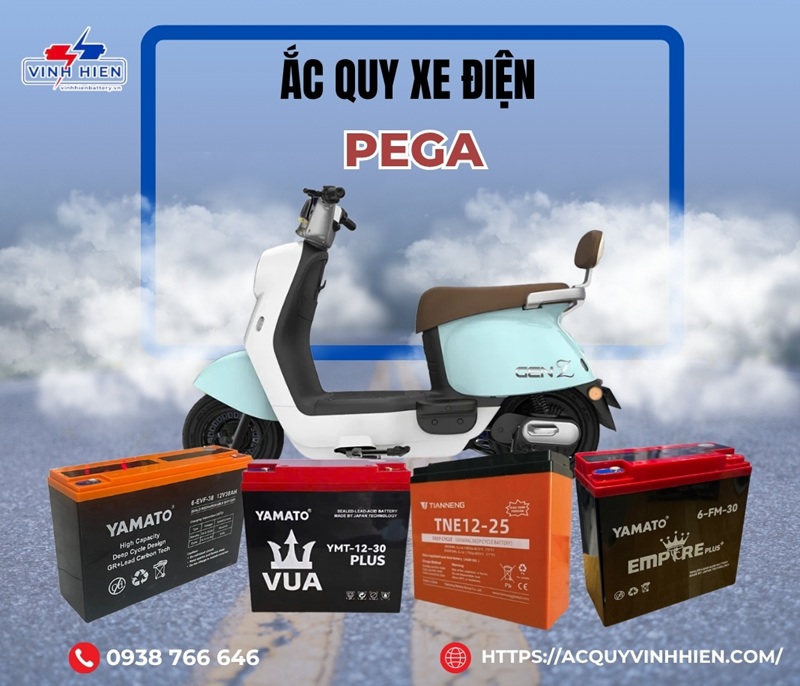 Cung cấp ắc quy xe điện Pega chính hãng GIÁ RẺ tại TPHCM