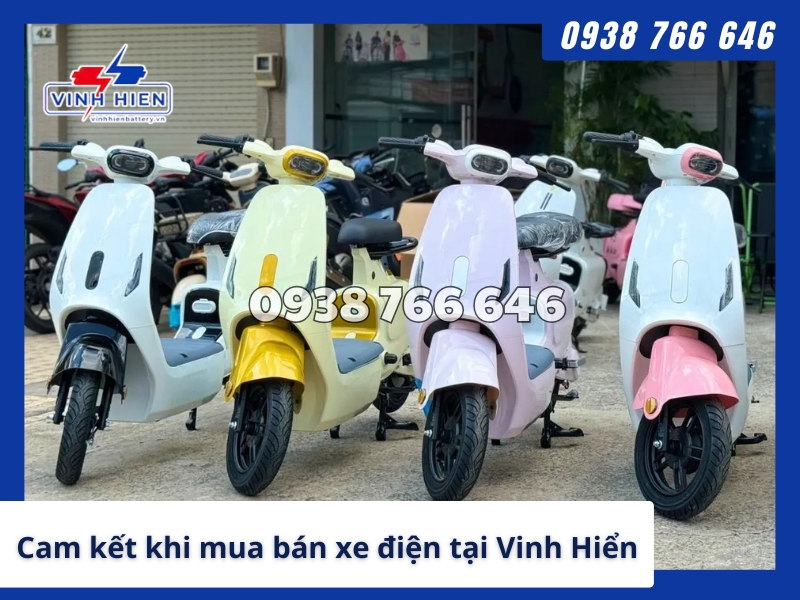 Cam ket khi mua ban xe dien tai Ac Quy Vinh Hien