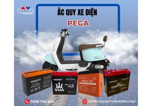 Ắc quy xe điện Pega